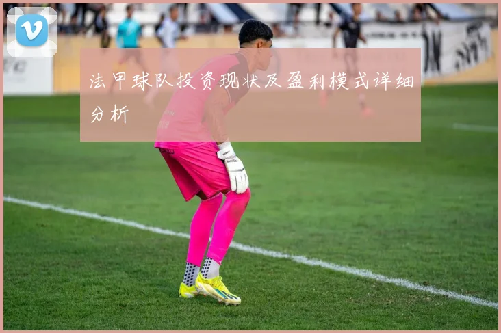 法甲球队投资现状及盈利模式详细分析
