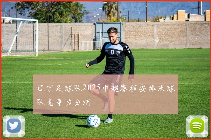 辽宁足球队2025中超赛程安排及球队竞争力分析